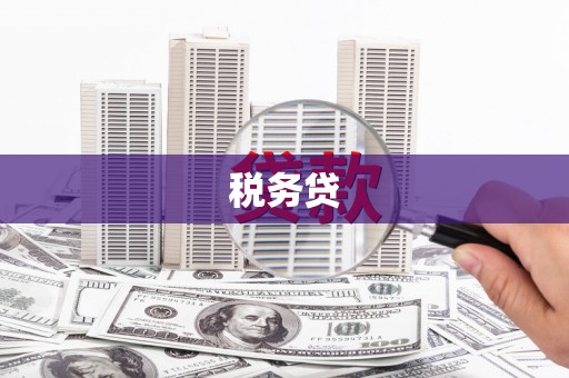鹤岗税务贷