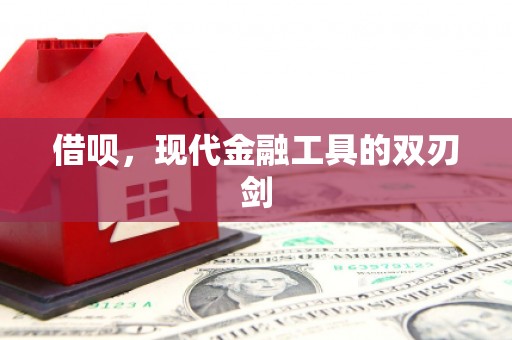 鹤岗借呗，现代金融工具的双刃剑
