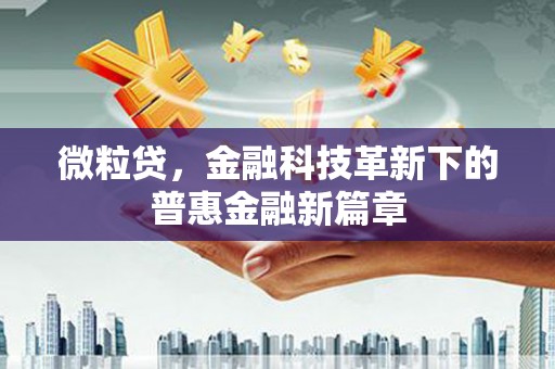 鹤岗微粒贷，金融科技革新下的普惠金融新篇章