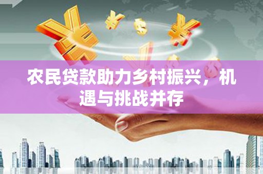 鹤岗农民贷款助力乡村振兴，机遇与挑战并存