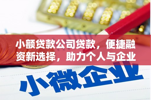 鹤岗小额贷款公司贷款，便捷融资新选择，助力个人与企业成长