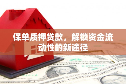 鹤岗保单质押贷款，解锁资金流动性的新途径