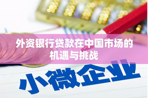 鹤岗外资银行贷款在中国市场的机遇与挑战