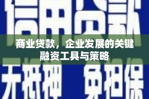 鹤岗商业贷款，企业发展的关键融资工具与策略