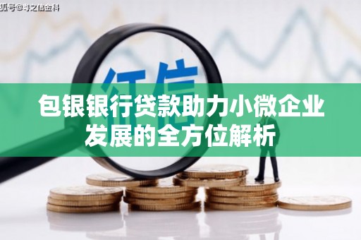 鹤岗包银银行贷款助力小微企业发展的全方位解析