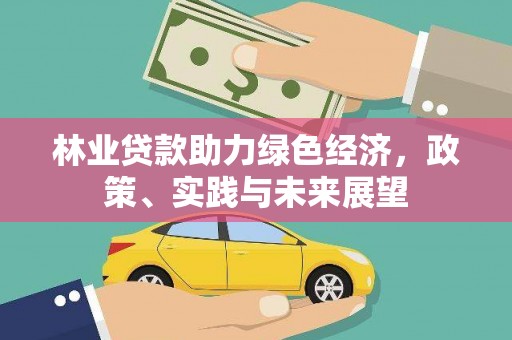 鹤岗林业贷款助力绿色经济，政策、实践与未来展望