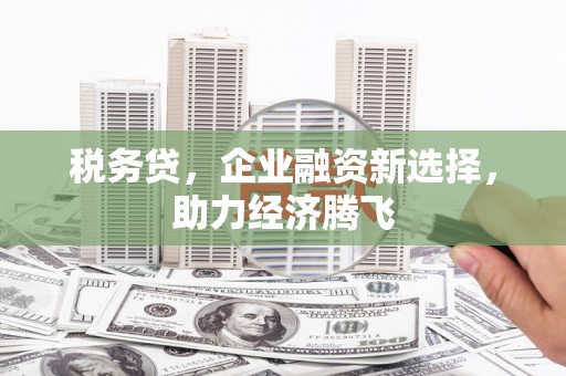 鹤岗税务贷，企业融资新选择，助力经济腾飞