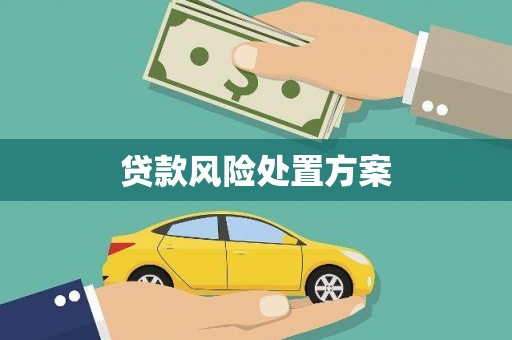鹤岗贷款风险处置方案