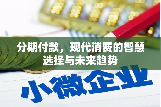 鹤岗分期付款，现代消费的智慧选择与未来趋势