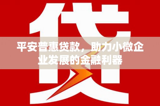 鹤岗平安普惠贷款，助力小微企业发展的金融利器