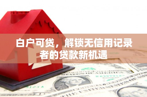 鹤岗白户可贷，解锁无信用记录者的贷款新机遇