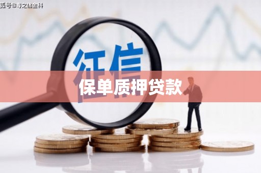 鹤岗保单质押贷款