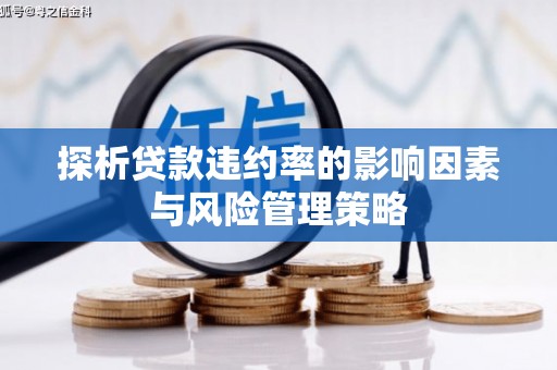 鹤岗探析贷款违约率的影响因素与风险管理策略