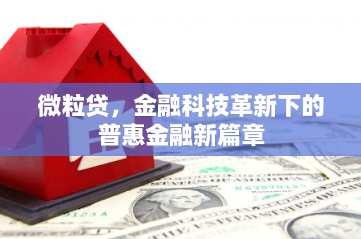 鹤岗微粒贷，金融科技革新下的普惠金融新篇章