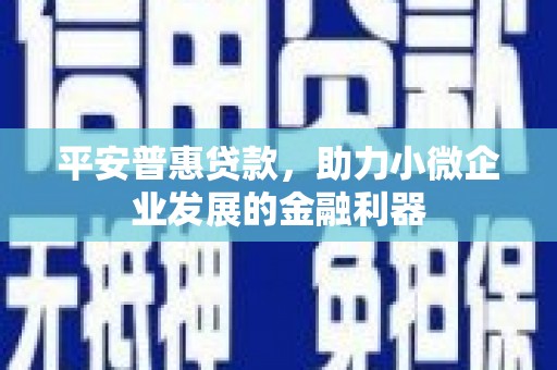 鹤岗平安普惠贷款，助力小微企业发展的金融利器