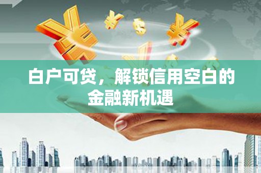 鹤岗白户可贷，解锁信用空白的金融新机遇