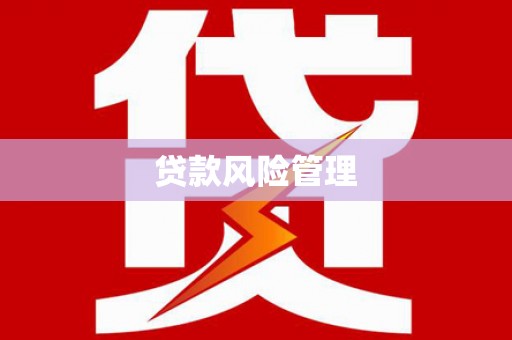 鹤岗贷款风险管理