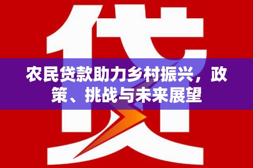 鹤岗农民贷款助力乡村振兴，政策、挑战与未来展望