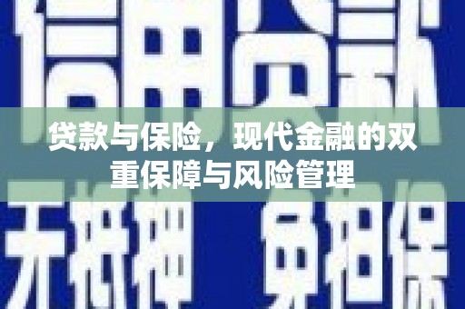 鹤岗贷款与保险，现代金融的双重保障与风险管理