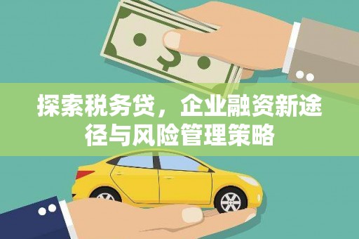 鹤岗探索税务贷，企业融资新途径与风险管理策略