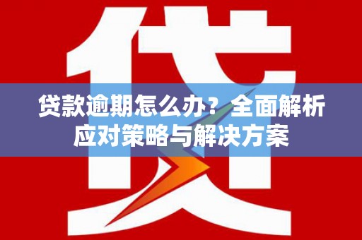 鹤岗贷款逾期怎么办？全面解析应对策略与解决方案