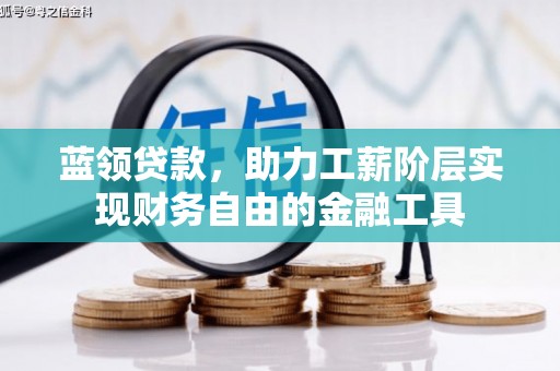鹤岗蓝领贷款，助力工薪阶层实现财务自由的金融工具