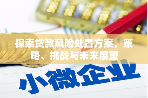 鹤岗探索贷款风险处置方案，策略、挑战与未来展望