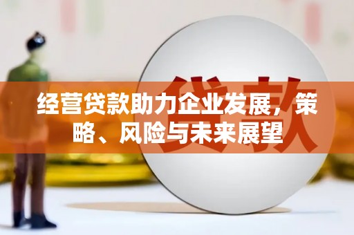 鹤岗经营贷款助力企业发展，策略、风险与未来展望