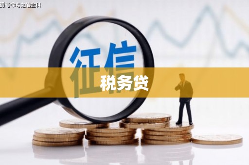 鹤岗税务贷