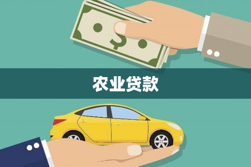 鹤岗农业贷款