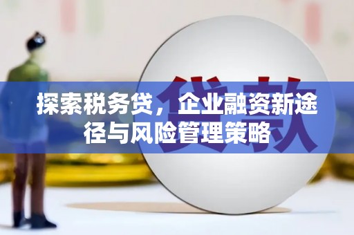 鹤岗探索税务贷，企业融资新途径与风险管理策略