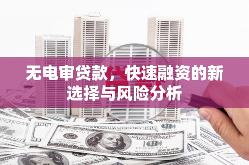 鹤岗无电审贷款，快速融资的新选择与风险分析
