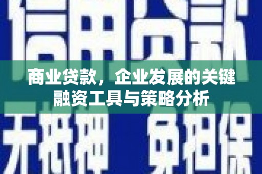 鹤岗商业贷款，企业发展的关键融资工具与策略分析
