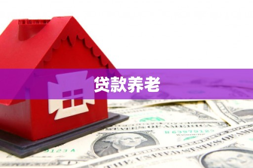 鹤岗贷款养老
