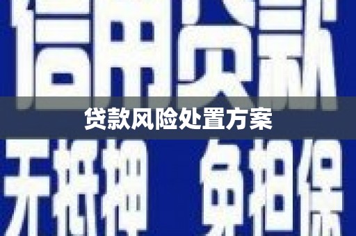 鹤岗贷款风险处置方案
