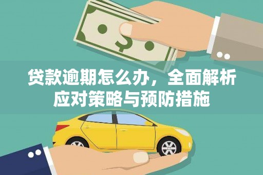 鹤岗贷款逾期怎么办，全面解析应对策略与预防措施