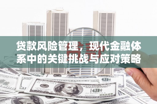 鹤岗贷款风险管理，现代金融体系中的关键挑战与应对策略