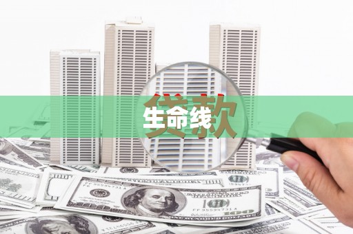 鹤岗生命线