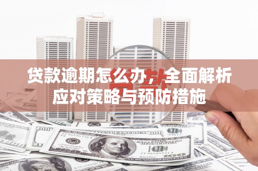 鹤岗贷款逾期怎么办，全面解析应对策略与预防措施