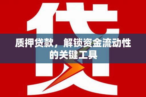 鹤岗质押贷款，解锁资金流动性的关键工具