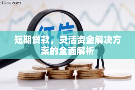 鹤岗短期贷款，灵活资金解决方案的全面解析