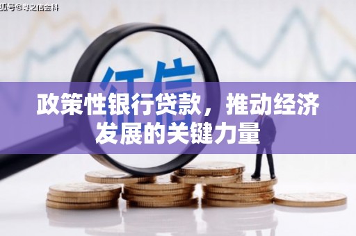 鹤岗政策性银行贷款，推动经济发展的关键力量