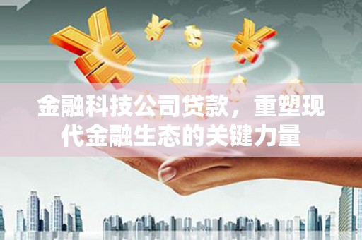 鹤岗金融科技公司贷款，重塑现代金融生态的关键力量