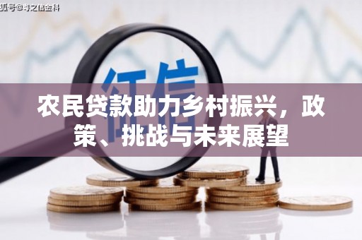 鹤岗农民贷款助力乡村振兴，政策、挑战与未来展望