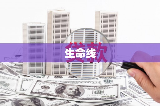 鹤岗生命线