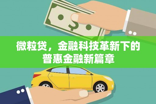 鹤岗微粒贷，金融科技革新下的普惠金融新篇章