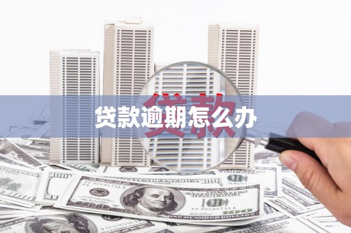 鹤岗贷款逾期怎么办