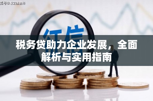 鹤岗税务贷助力企业发展，全面解析与实用指南