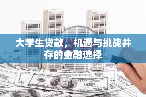 鹤岗大学生贷款，机遇与挑战并存的金融选择