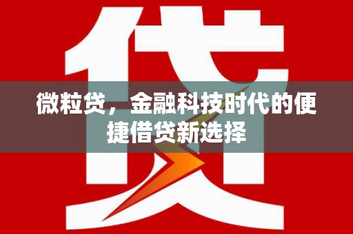 鹤岗微粒贷，金融科技时代的便捷借贷新选择